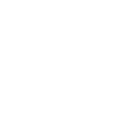 Get IE